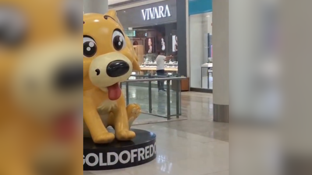 Feminicídio em shopping: descumprir medida pode aumentar pena