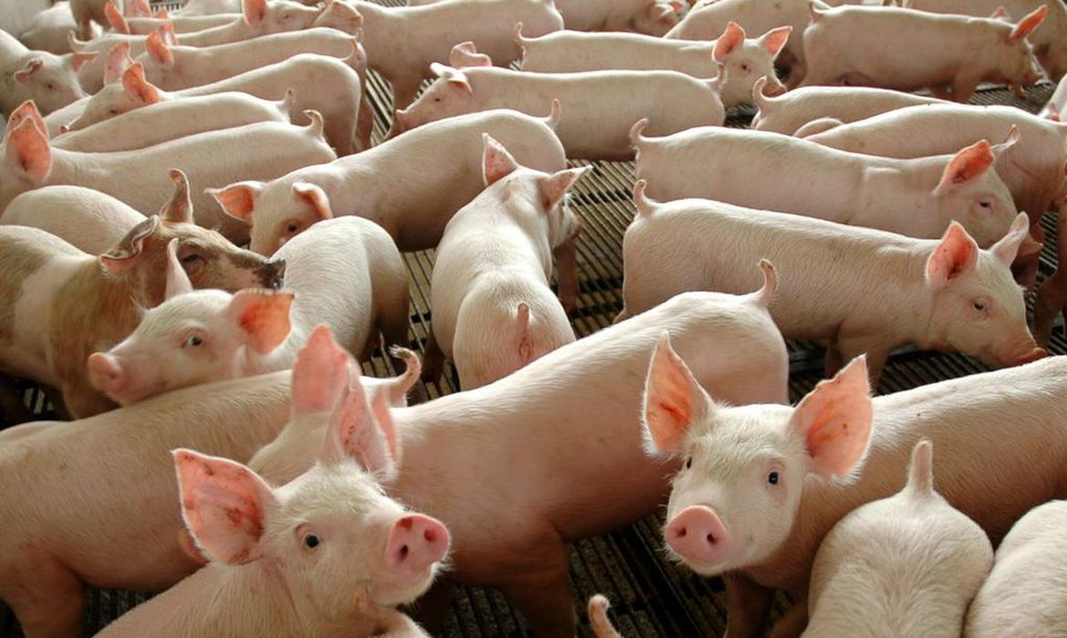 ABPA projeta US$ 57 milhões em negócios com a Ásia em 2023