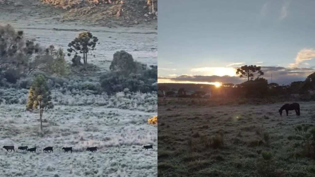 SC registra temperaturas negativas e impressionantes paisagens de geada