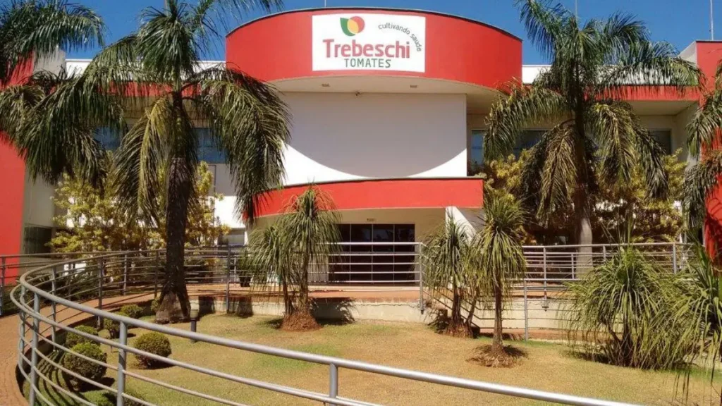 Com dívida bilionária, Grupo Trebeschi busca nova recuperação financeira