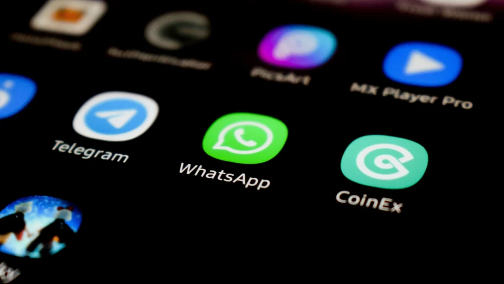 Ex-diretora do WhatsApp no Brasil cria ONG para proteger usuários