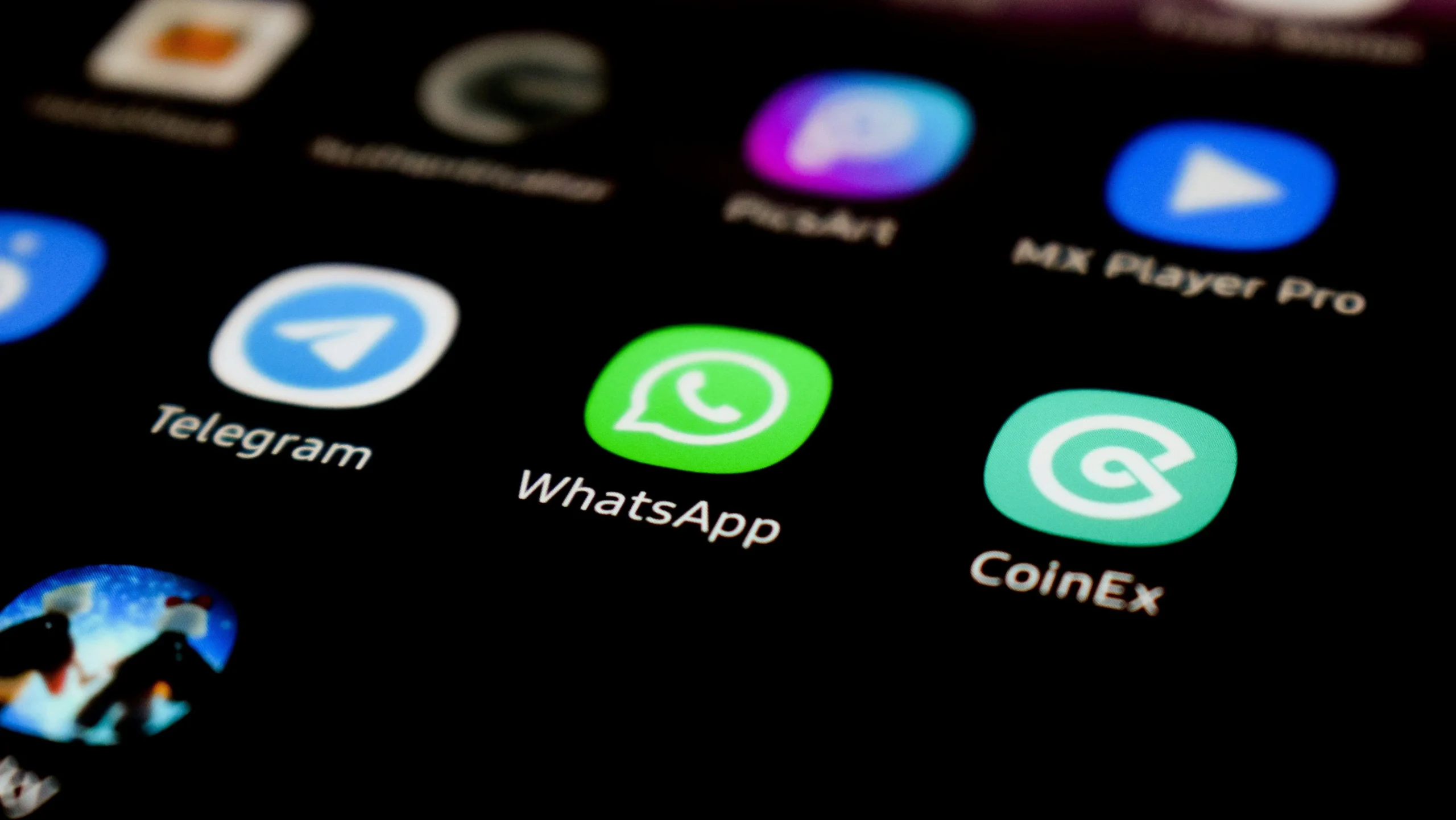 Ex-diretora do WhatsApp no Brasil cria ONG para proteger usuários