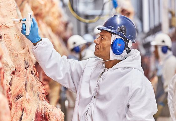 Minerva projeta maior rentabilidade com China e oportunidades crescentes