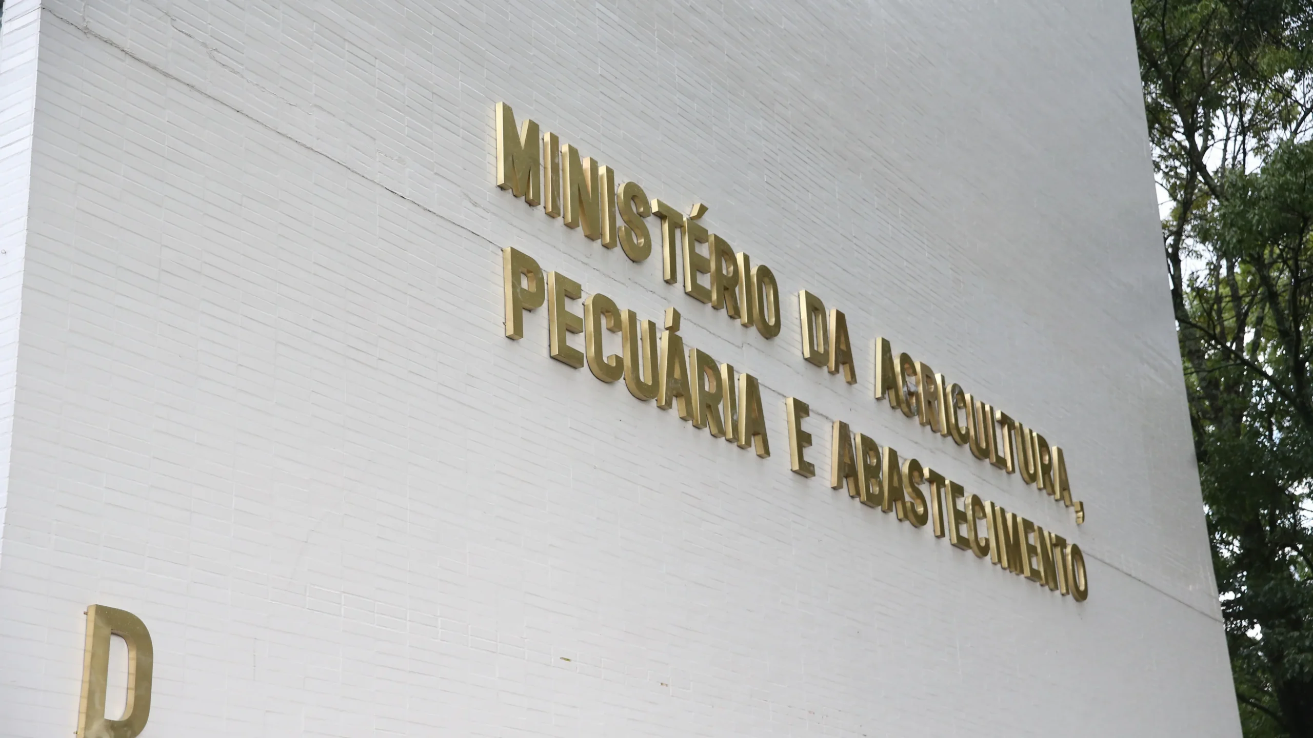 Ministério da Agricultura estabelece gabinete de crise para soluções eficientes