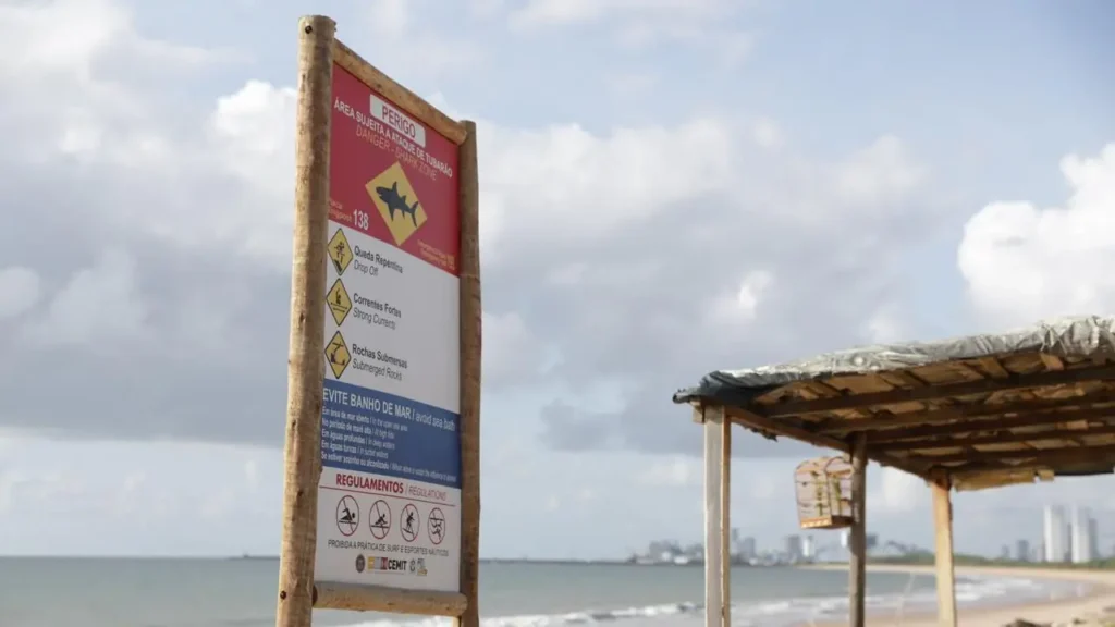 Vítimas de ataques de tubarão estão internadas na UTI em Pernambuco: Saiba Mais