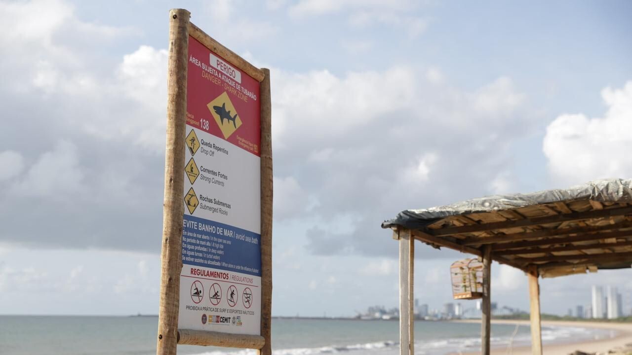 Vítimas de ataques de tubarão estão internadas na UTI em Pernambuco: Saiba Mais