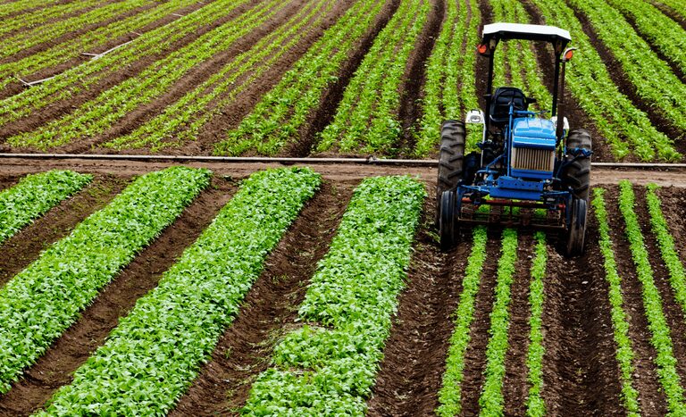 Preço dos alimentos deve ser impactado em 2023 com tarifaço.
